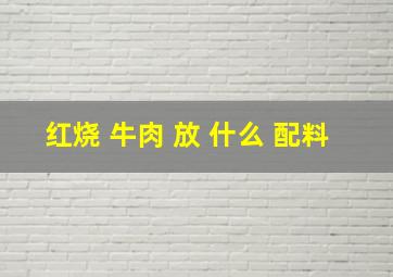 红烧 牛肉 放 什么 配料